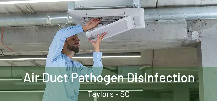  Air Duct Pathogen Disinfection Taylors - SC