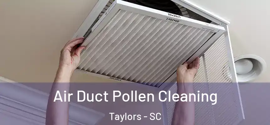  Air Duct Pollen Cleaning Taylors - SC