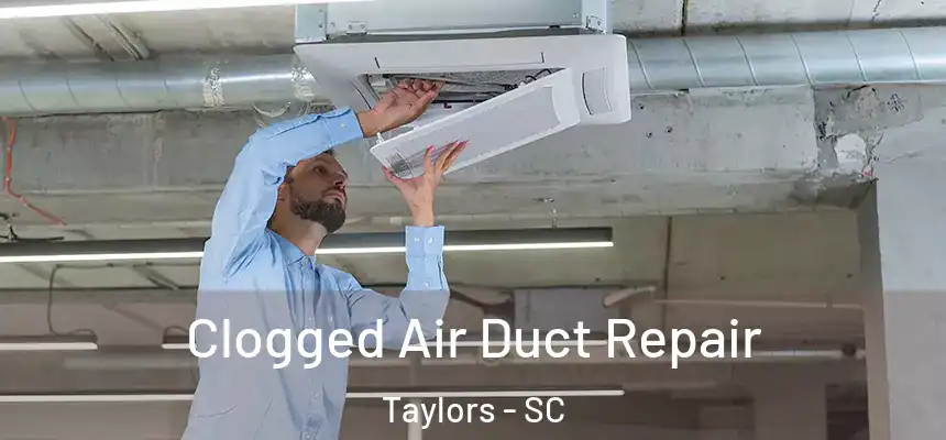  Clogged Air Duct Repair Taylors - SC