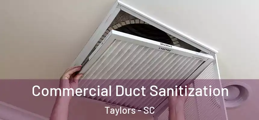  Commercial Duct Sanitization Taylors - SC