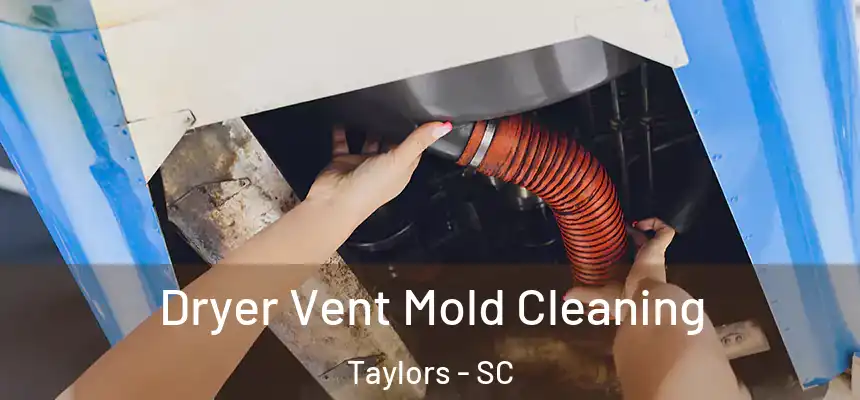  Dryer Vent Mold Cleaning Taylors - SC