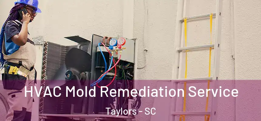  HVAC Mold Remediation Service Taylors - SC