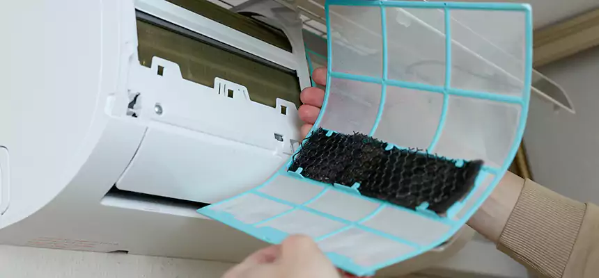 Gentle Ductwork Odor-Control Pet Dander Duct Cleaning in Taylors, SC