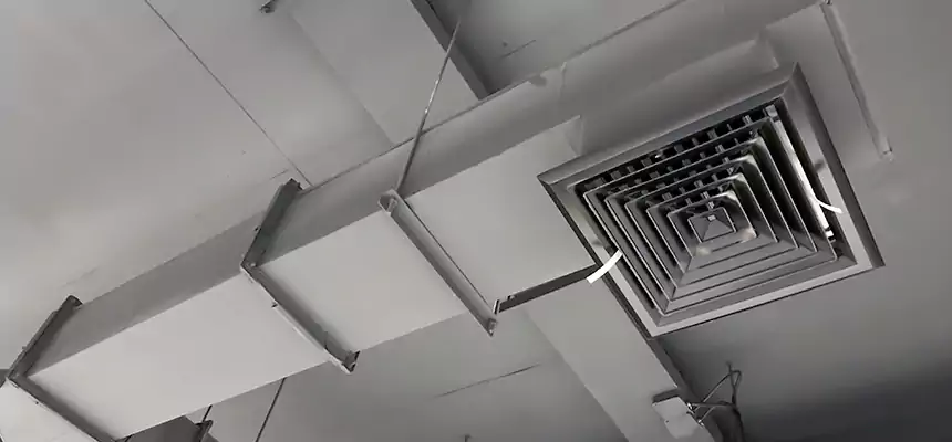 Our Rodent Droppings In Vents Services in Taylors, SC