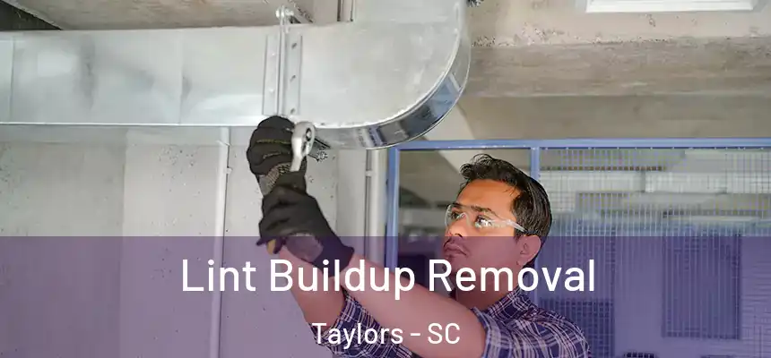  Lint Buildup Removal Taylors - SC