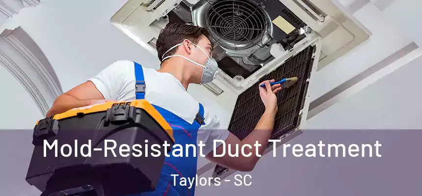  Mold-Resistant Duct Treatment Taylors - SC