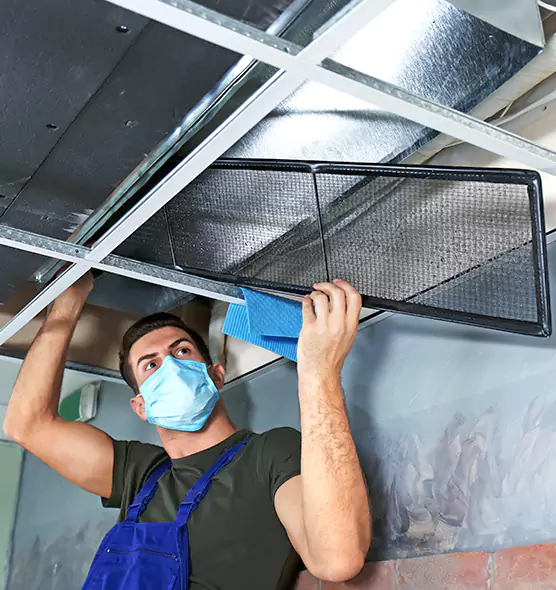 About Air Duct Bacteria Removal in Taylors