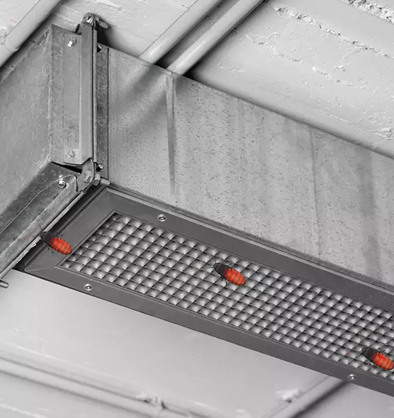 Affordable Insect Removal from Air Ducts in Taylors, SC