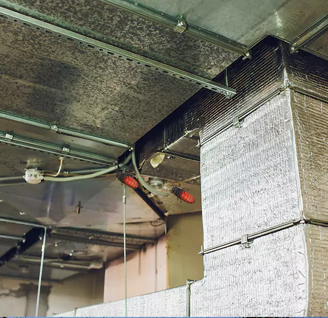 Why Homeowners & Businesses Trust Us in Taylors, SC?