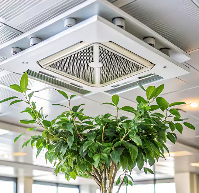 Why Homeowners & Businesses Trust Us in Taylors, SC?