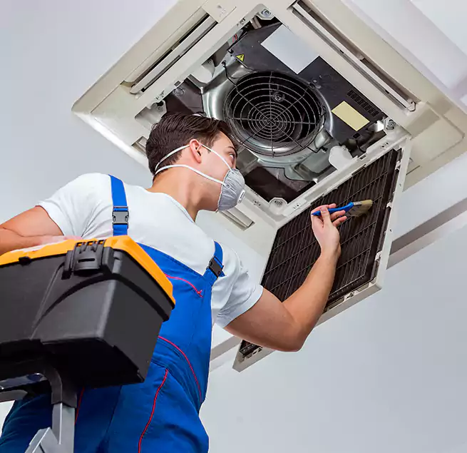 Why Homeowners & Businesses Trust Us in Taylors, SC?