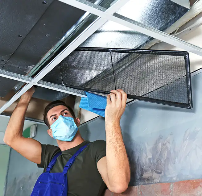 Why Homeowners & Businesses Trust Us in Taylors, SC?